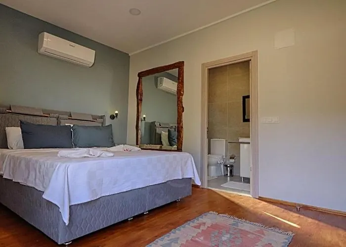 Detached With Private Pool In Goecek Inlice Вилла